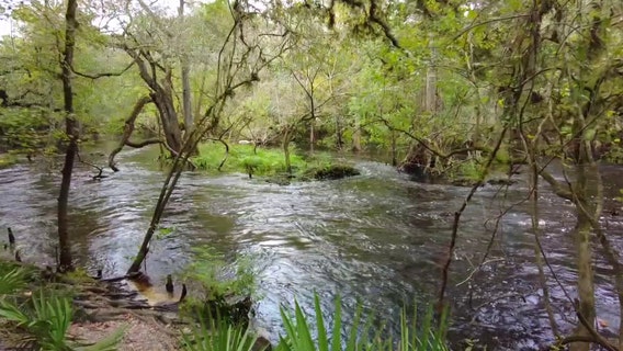 Pushback grows against Florida State Parks development plans