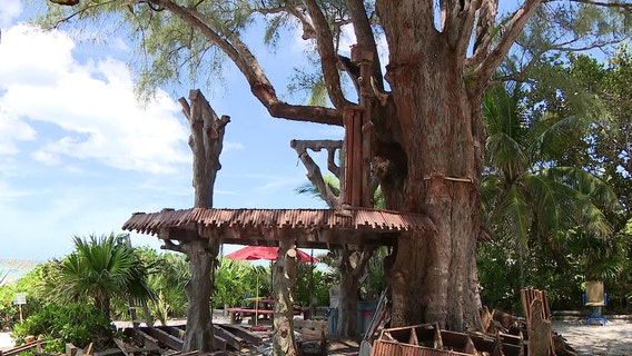 Anna Maria Island treehouse torn down after long court fight