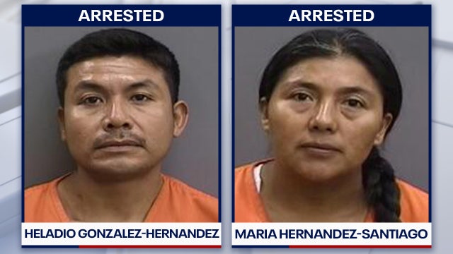 Suspected saw palmetto poachers accused of stealing 800 pounds of berries arrested in Hillsborough County