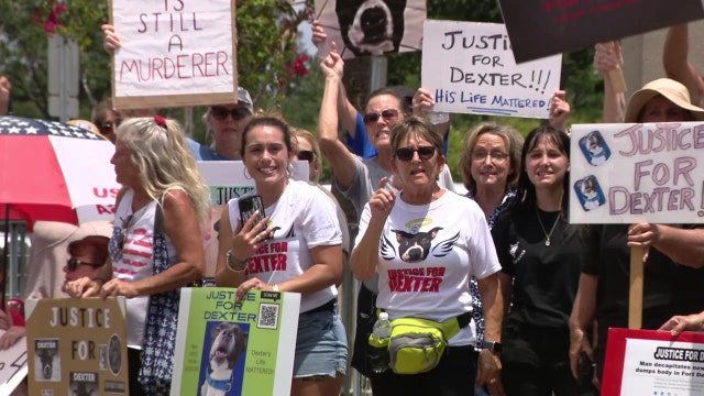 'Justice for Dexter' rally held at arraignment for suspect accused of decapitating dog