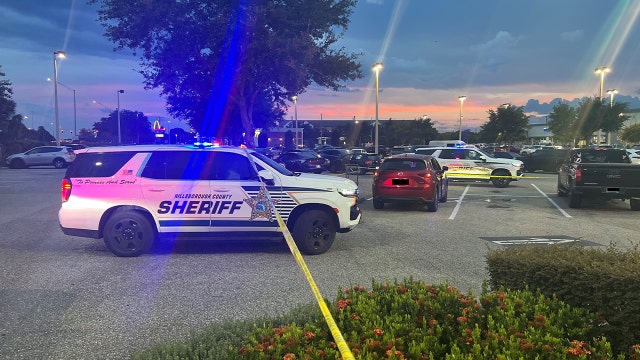 16-year-old hospitalized after road rage shooting in Hillsborough County: Deputies