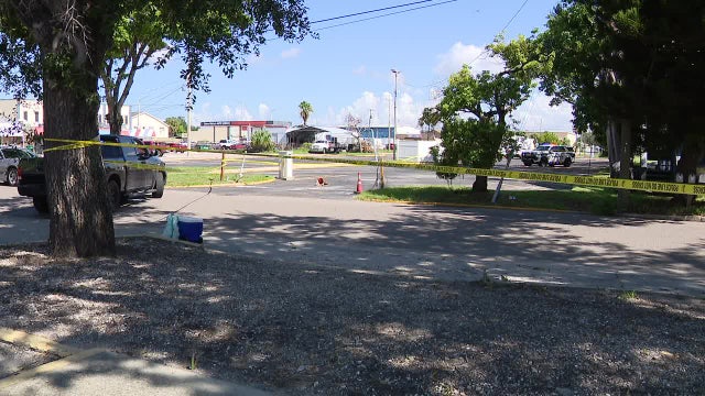 Palmetto police shoot man accused of pointing rifle at officers