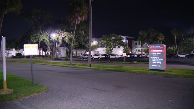 2 dead in suspected murder-suicide in Hillsborough County: HCSO