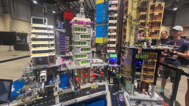 LEGO enthusiasts attend Brick Fan Expo in Tampa