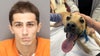 Palm Harbor man used ‘unjustifiable force’ to break puppy’s leg: PCSO