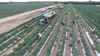 Battle over migrant farmworker wages in Florida as farmers face rising costs