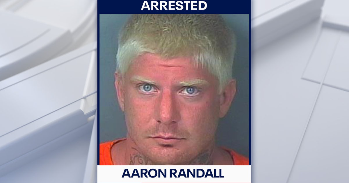 Spring Hill man claiming to ‘scam pedophiles’ for money arrested for ...