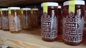 Queen and Colony Bee Company opened their first store in downtown St. Petersburg