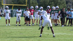 USF hopes to get 'process' right with Crimson Tide on the horizon