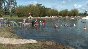 Warm Mineral Springs Park to be conserved and restored: 'Everyone gets to win'