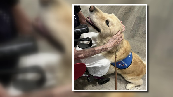 Caring K9s reaches milestone with 1,000 therapy visits