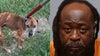 Florida man accused of ‘horrific’ animal abuse at Polk County rental property where he kept his dogs