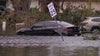 Seffner neighborhood dealing with alligators and flooded roads after Hurricane Milton