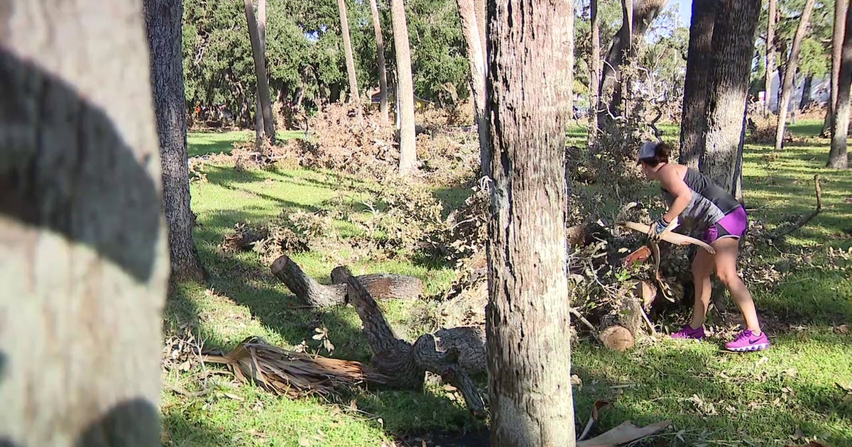 Keep Tampa Bay Beautiful help clean up Tampa parks after back-to-back ...