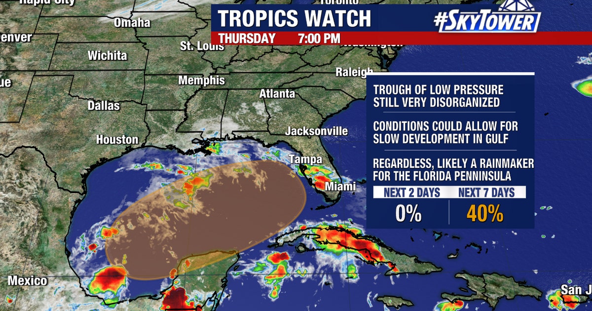 Tropical disturbance in Gulf likely bringing heavy rain to Florida ...