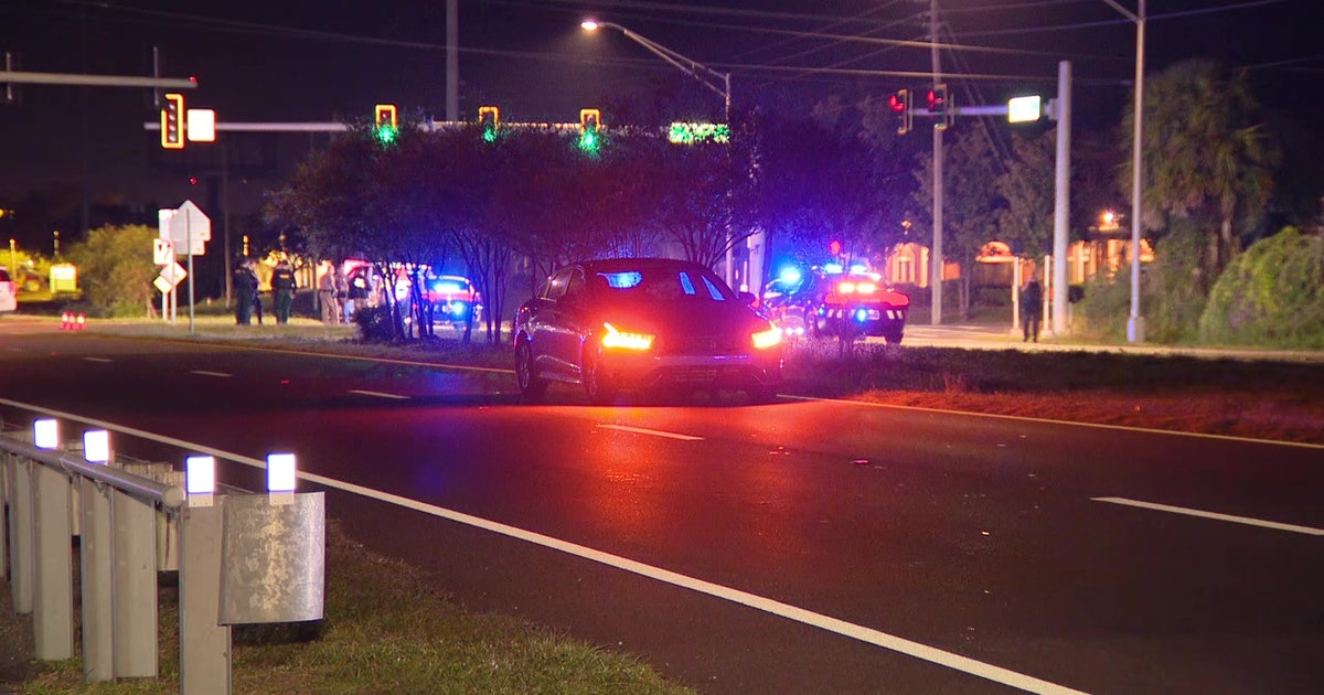 Woman hit, killed after falling out of moving vehicle in Port Richey ...
