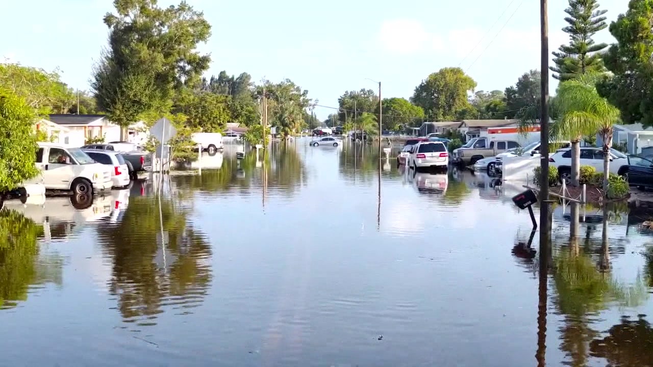 Town 'n' Country residents cleaning up after Hurricane Helene: 'It