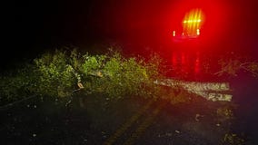 Hurricane Milton photos: The impact on the Bay Area