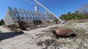 Hurricanes ravage Egmont Key, force harbor pilots to relocate