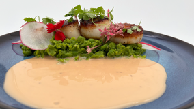 Recipe: Seared Scallops, Smashed Peas, Paloma Sauce, and Arugula