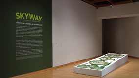 Skyway: A Contemporary Collaboration exhibit