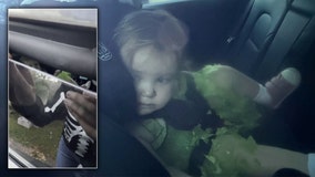 Toddler dressed as Tinkerbell trapped in Tesla for nearly two hours in Tampa: ‘This was terrifying’