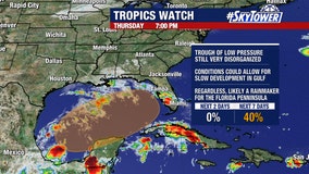 Tropical disturbance in Gulf likely bringing heavy rain to Florida despite lower chance of development