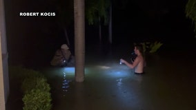 UTampa baseball player helps neighbor through Helene storm surge