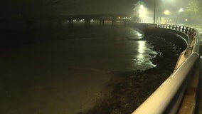 Bayshore Blvd. avoids the brunt of Hurricane Milton