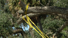 'School's Out, Camp's In' offered for kids still waiting for schools to reopen after Hurricane Milton