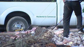 City of St. Petersburg using private haulers to help make 90-day debris deadline