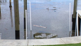 Clearwater residents nauseated by smell of debris in waterways