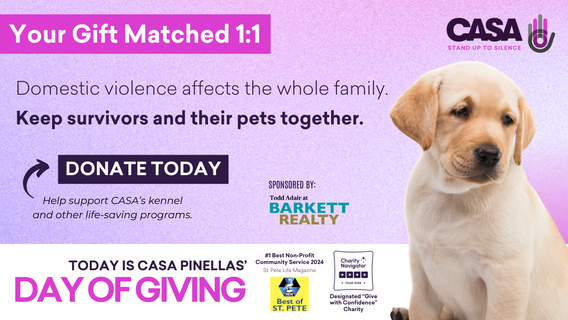 Donations to domestic violence organization matched in wake of hurricane — Here's how to help