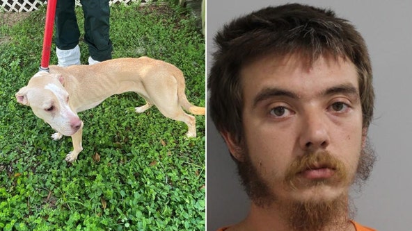 Man arrested after dog found dead, 2 others malnourished in Polk cruelty case: 'A great disregard for life'