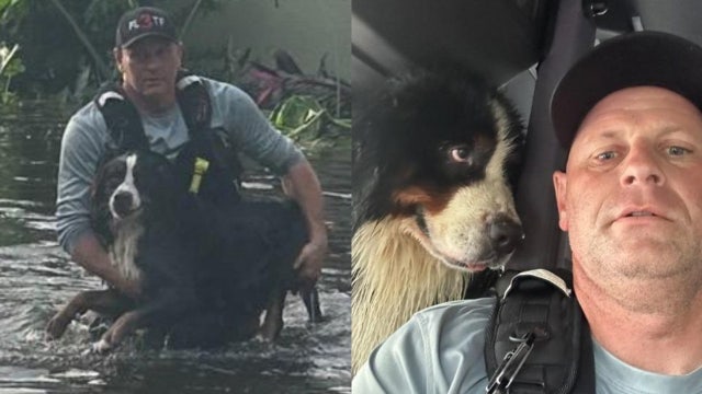 Photos: Here’s a look at some of the over 100 pets rescued after Hurricane Milton in Hillsborough County
