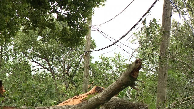 Over 3 million people in Florida are without power: here are the challenges