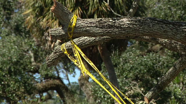 'School's Out, Camp's In' offered for kids still waiting for schools to reopen after Hurricane Milton