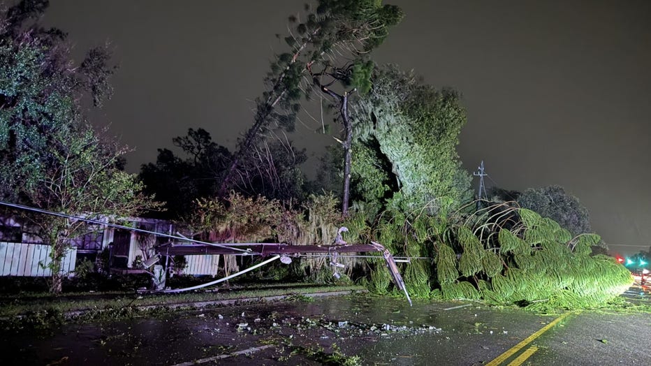 Deputies found a downed tree and power line at the intersection of Bloomingdale Avenue and Kinds Avenue. Courtesy: Hillsborough County Sheriff's Office