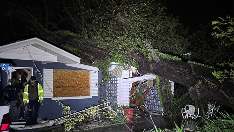 A large tree crashed through a family home in Bradenton, Florida, during Hurricane Milton's landfall on Oct. 9, 2024.
(Bradenton Police Department)