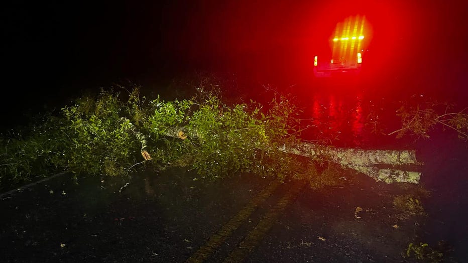 Hurricane Milton's winds brought down a tree, blocking traffic on Howell Avenue in Brooksville. (Courtesy: Hernando County Sheriff's Office)