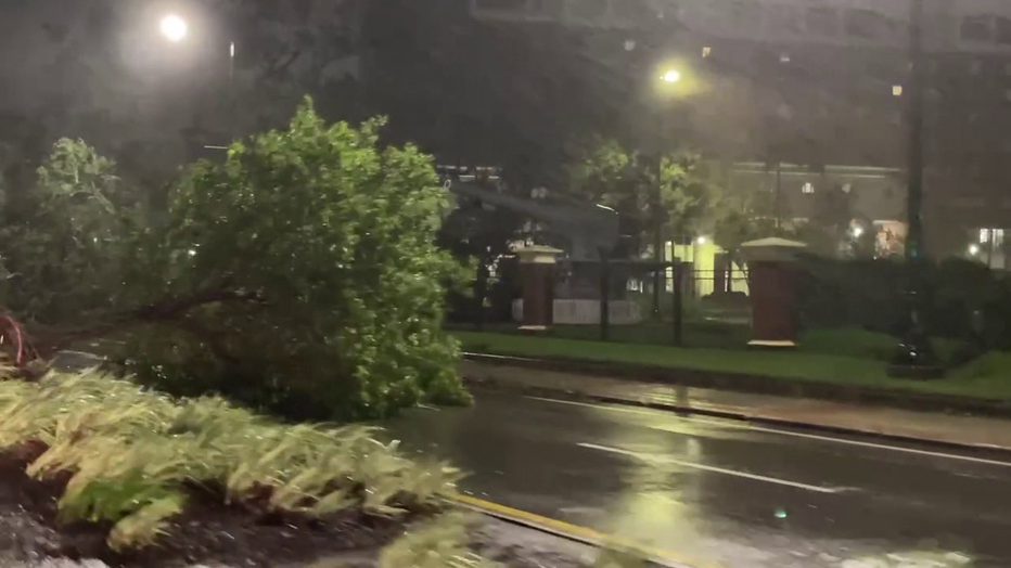 FOX 13 crews spotted two downed trees across Kennedy Boulevard near The University of Tampa.