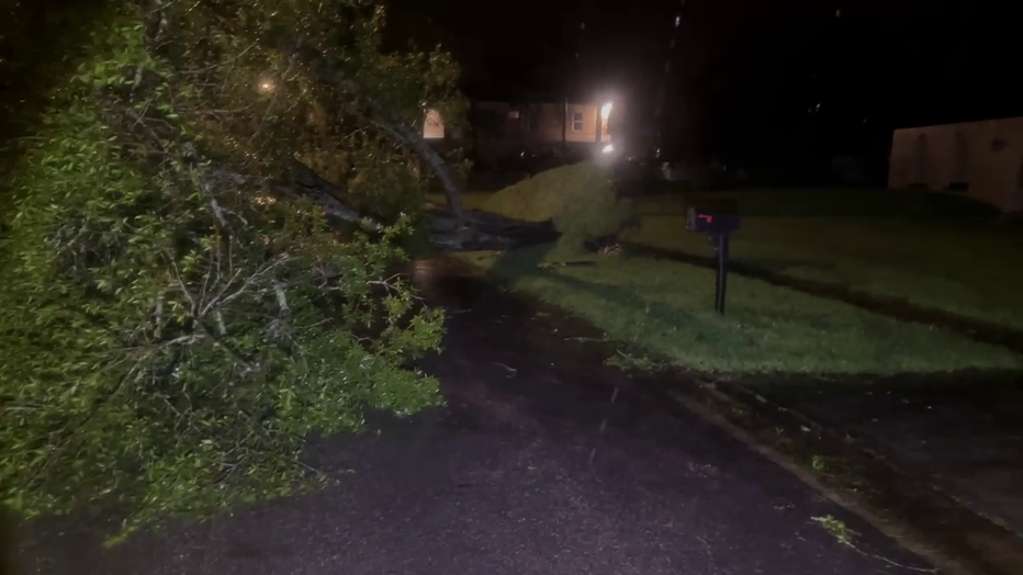 The Northdale community in northwest Hillsborough County saw serious impacts from Milton, including this downed tree in the middle of a neighborhood.