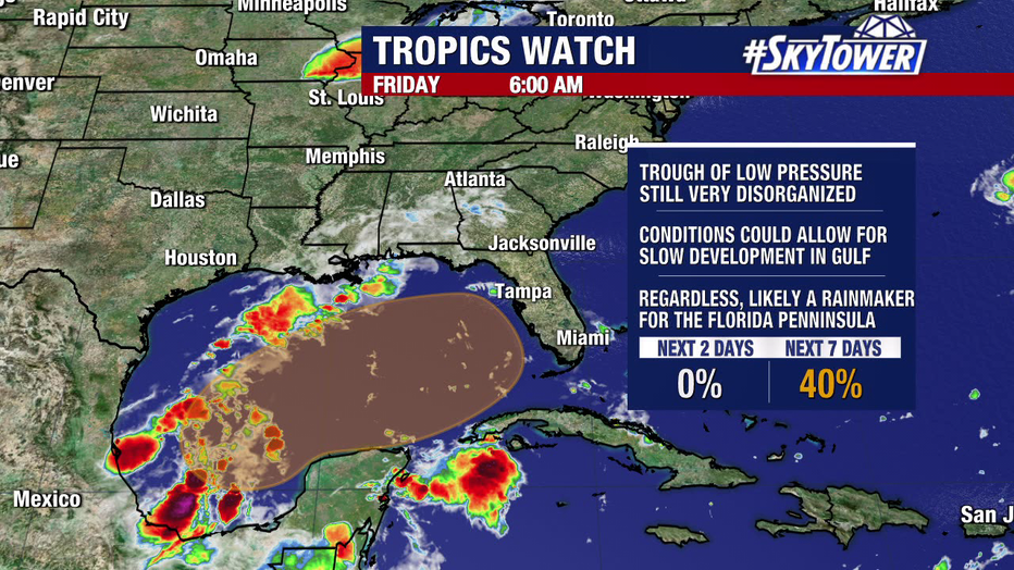 The chance of a disturbance in the Gulf is 40 percent over the next seven days, but it will bring heavy rain to Florida regardless of developments.