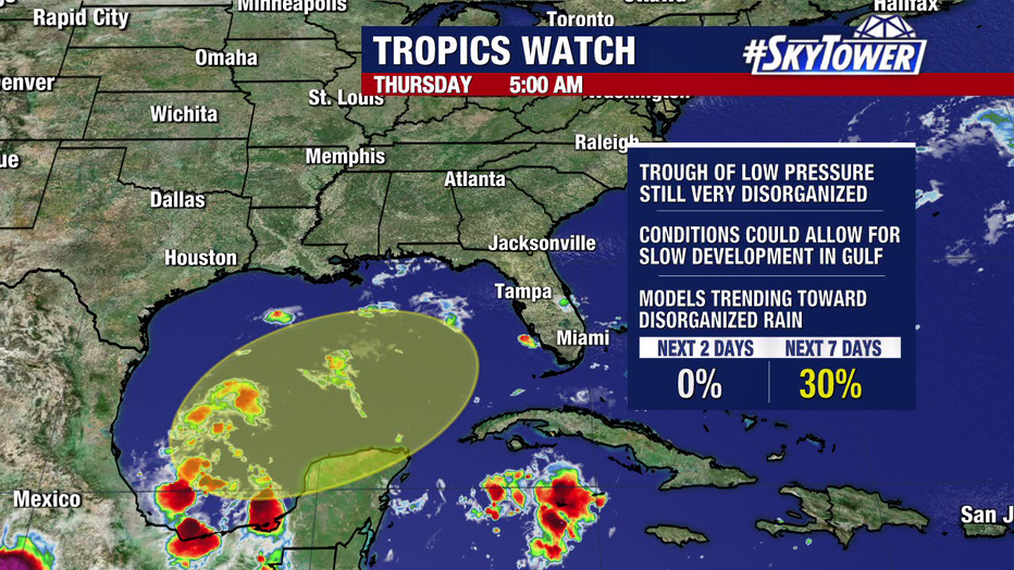 Even if the disturbance in the Gulf of Mexico doesn't develop into a named storm, it will likely bring several inches of rain to Florida by early next week.