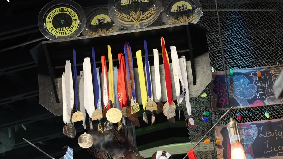 Medals above the bar at Mad Beach Brewing Company.