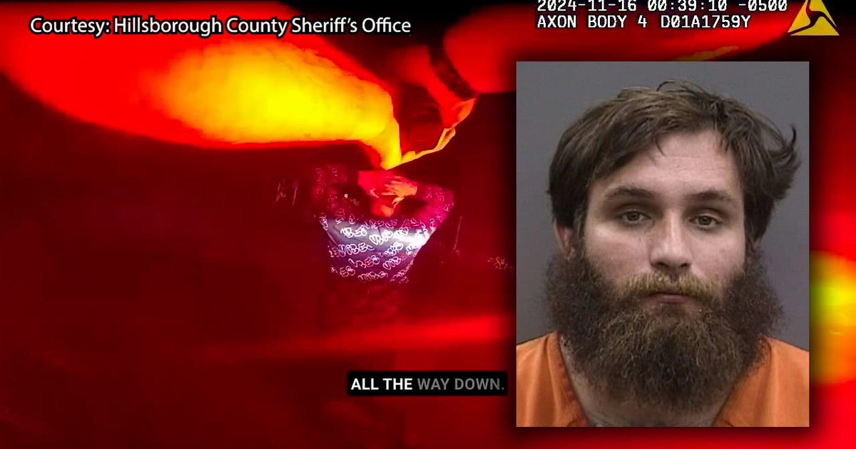 WATCH: Man arrested after hitting patrol car in Zephyrhills and taking ...