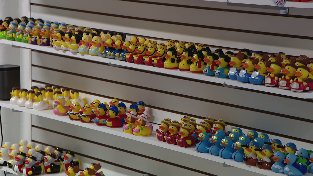 Lucky Duck Shop brings more than 250 unique types of rubber ducks