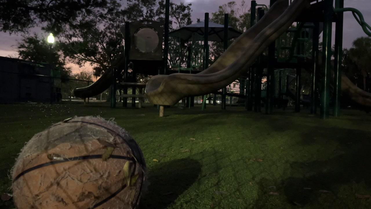 parks.jpg?ve=1&tl=1
