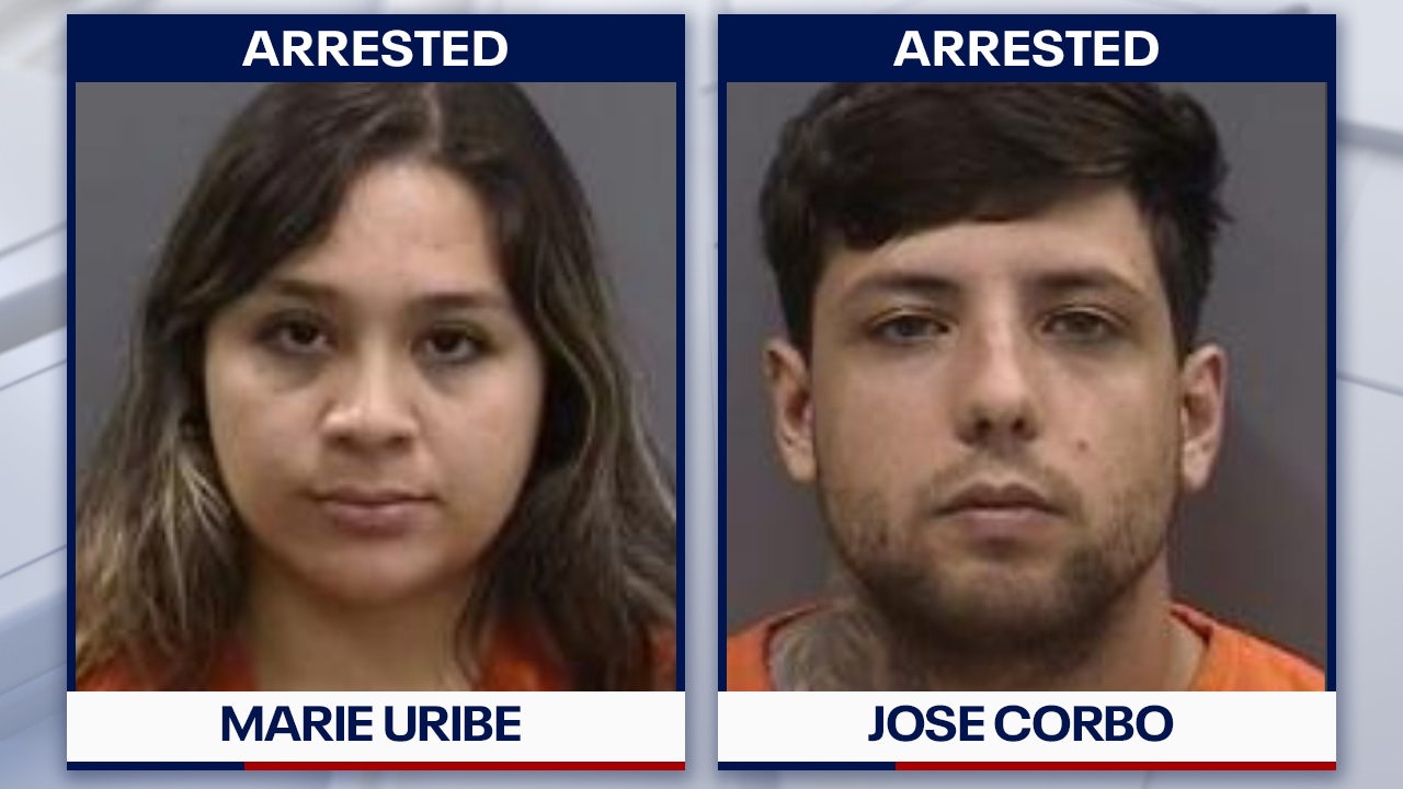 www.fox13news.com