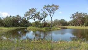 City's newest public park revitalized to help alleviate future South Tampa flooding